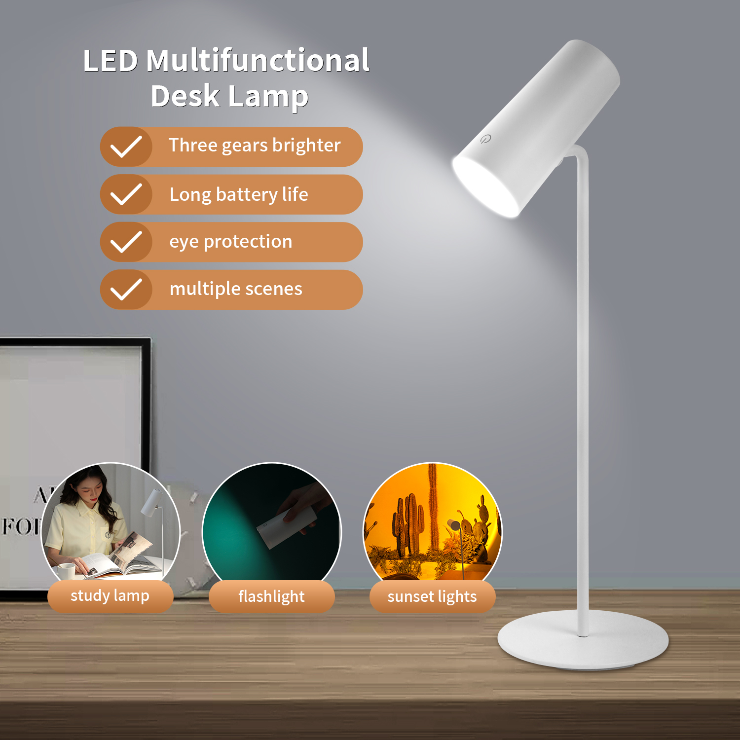 LED DESK LAMP