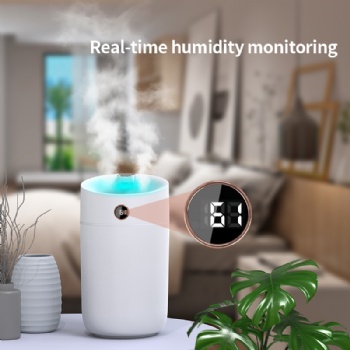 3L double spray humidifier X12