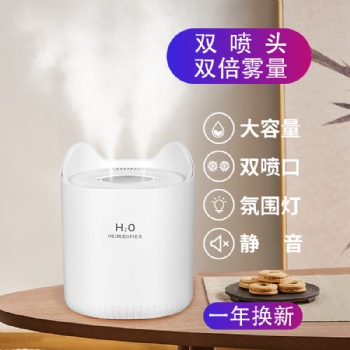 Humidifier